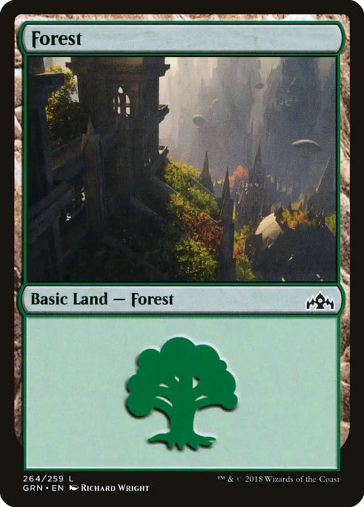 Forest (264) [Guilds of Ravnica] - MTG Single