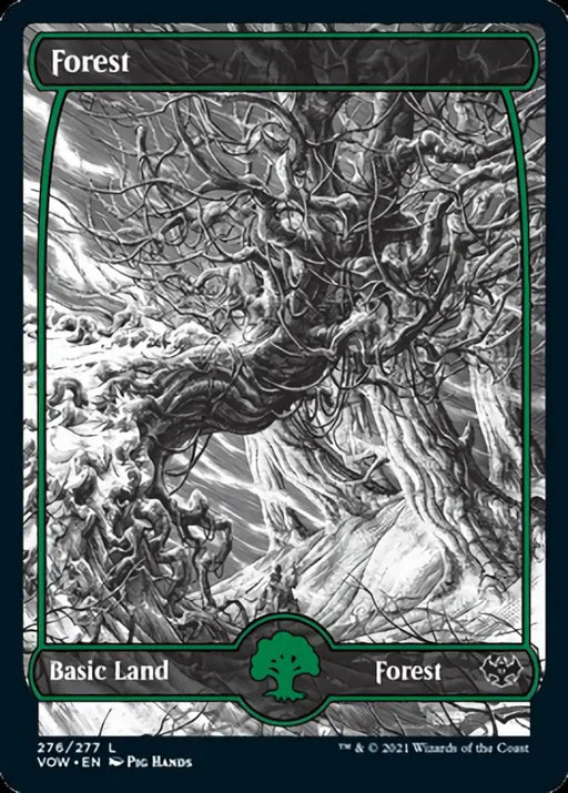 Forest (276) [Innistrad: Crimson Vow] - MTG Single