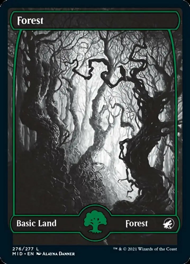 Forest (276) [Innistrad: Midnight Hunt] - MTG Single