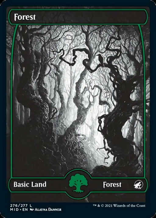 Forest (276) [Innistrad: Midnight Hunt] - MTG Single