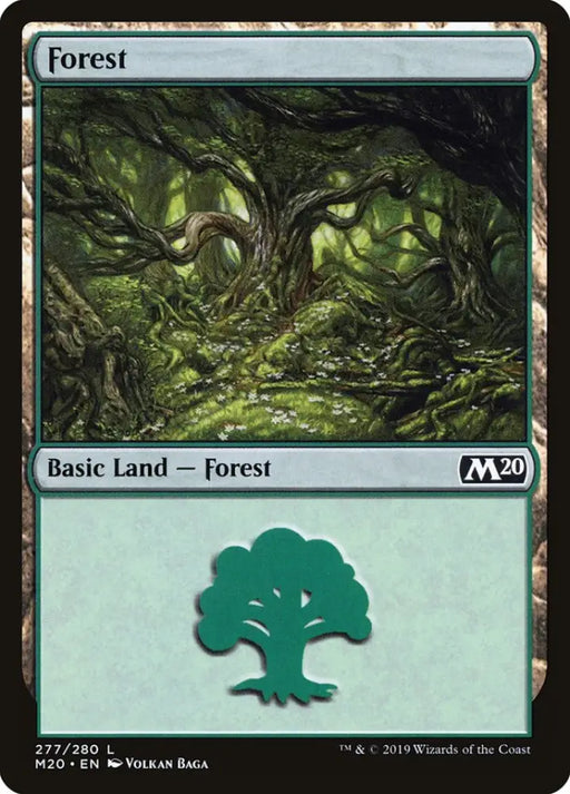 Forest (277) [Core Set 2020] - MTG Single