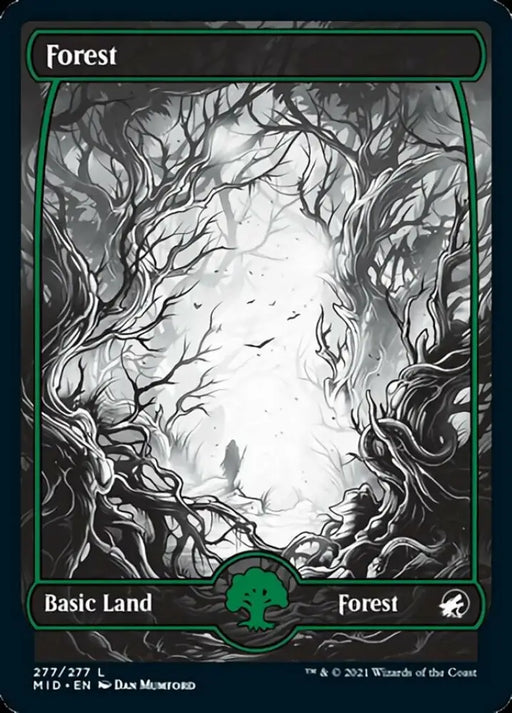 Forest (277) [Innistrad: Midnight Hunt] - MTG Single