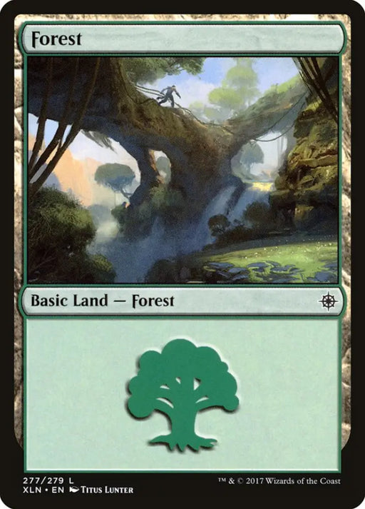 Forest (277) [Ixalan] - MTG Single