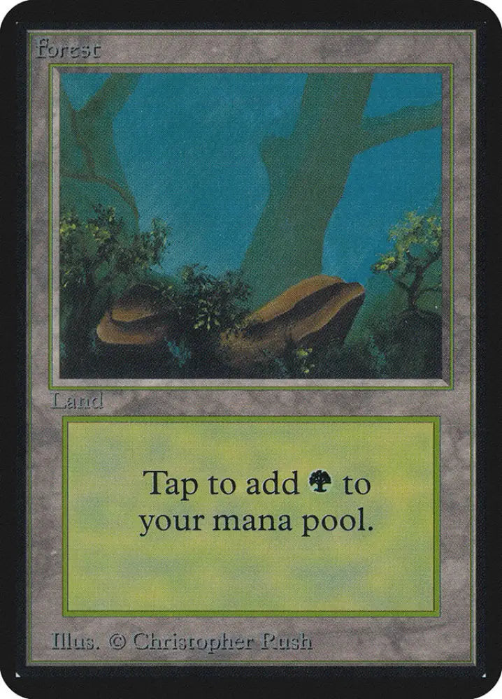 Forest (294) [Alpha Edition] - MTG Single