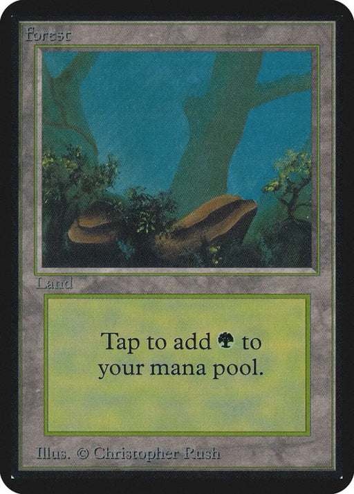 Forest (294) [Alpha Edition] - MTG Single