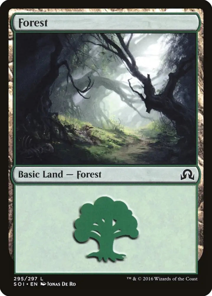 Forest (295) [Shadows over Innistrad] - MTG Single
