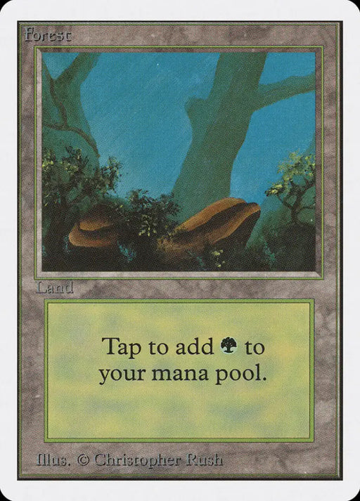 Forest (300) [Unlimited Edition] - MTG Single