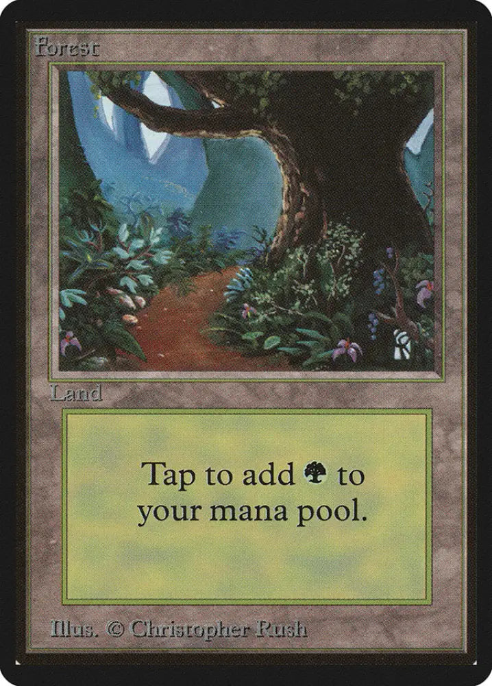 Forest (301) [Beta Edition] - MTG Single