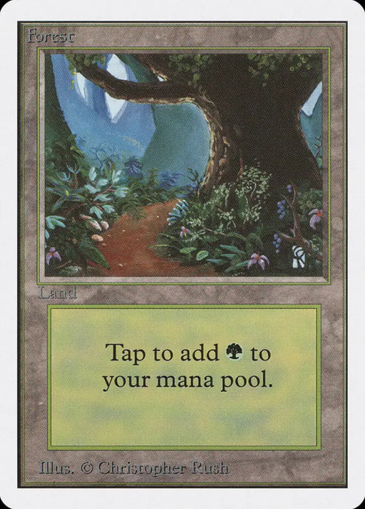Forest (301) [Unlimited Edition] - MTG Single