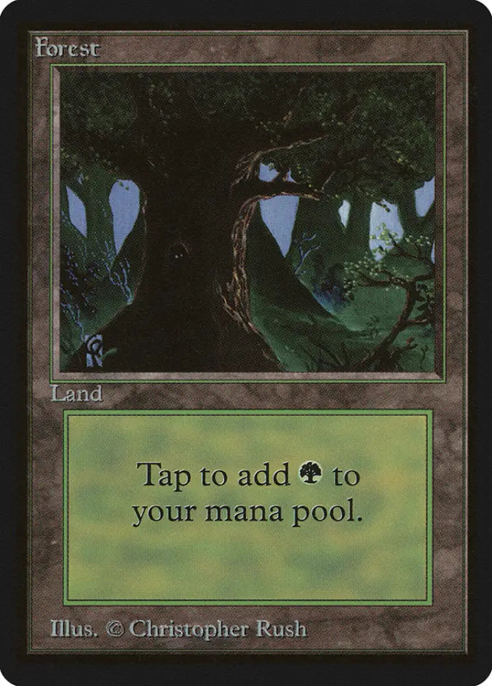 Forest (302) [Beta Edition] - MTG Single