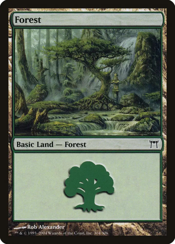 Forest (304) [Champions of Kamigawa] - MTG Single