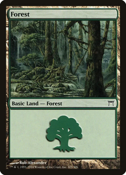 Forest (305) [Champions of Kamigawa] - MTG Single