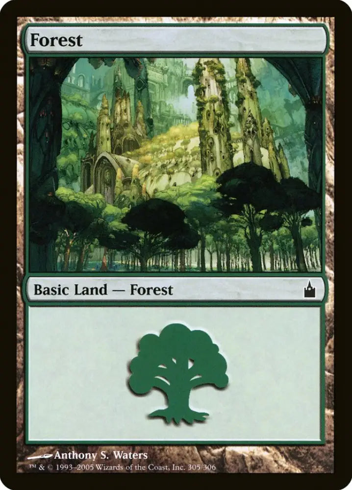 Forest (305) [Ravnica: City of Guilds] - MTG Single