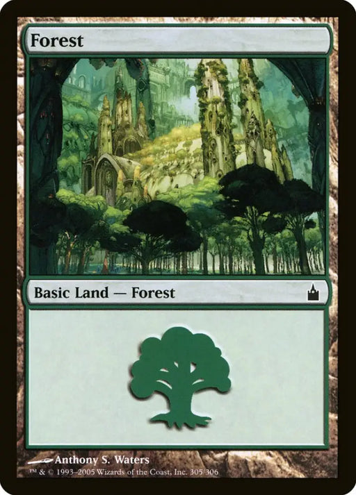 Forest (305) [Ravnica: City of Guilds] - MTG Single