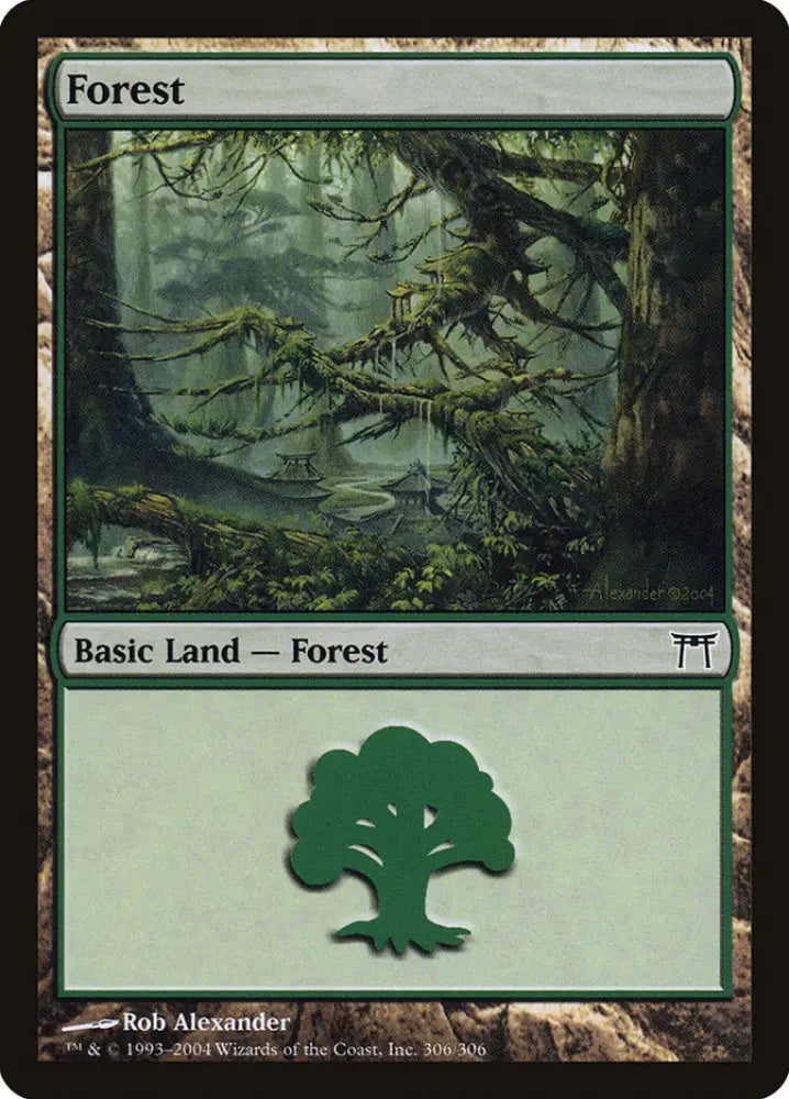 Forest (306) [Champions of Kamigawa] - MTG Single