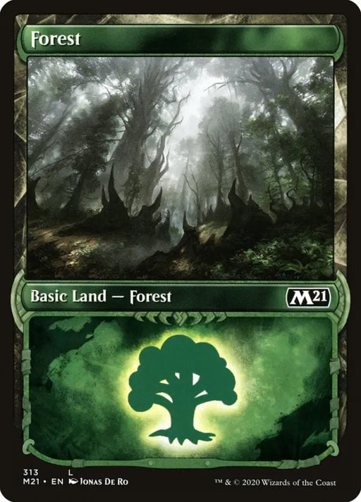 Forest (313) (Showcase) [Core Set 2021] - MTG Single