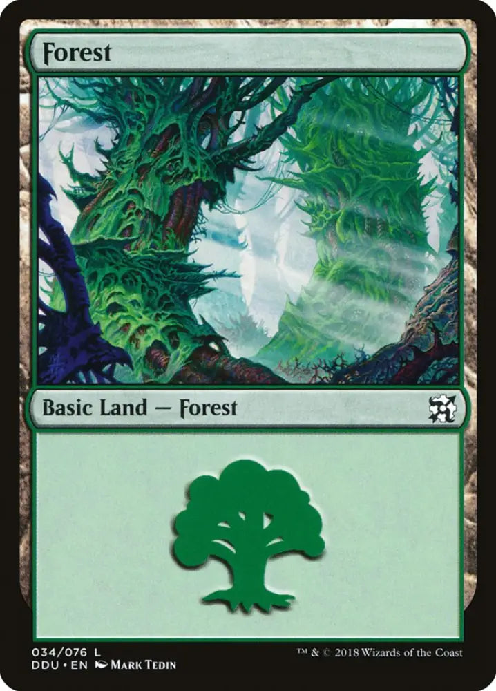 Forest (34) [Duel Decks: Elves vs. Inventors] - MTG Single