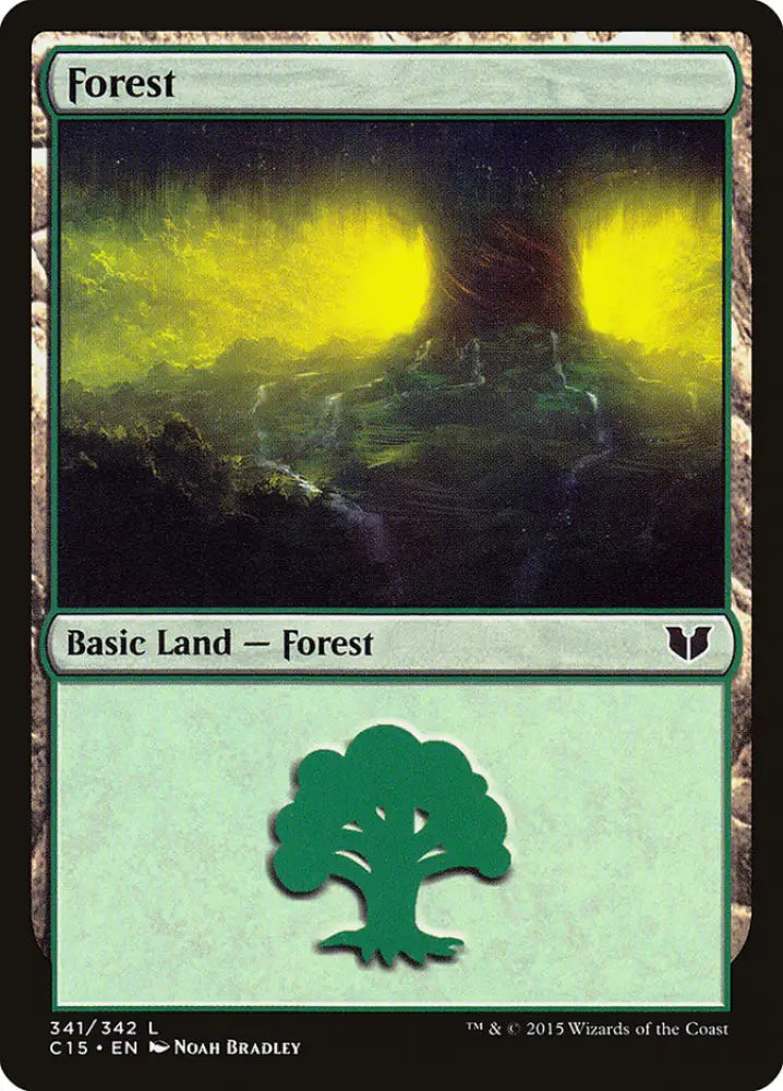 Forest (341) [Commander 2015] - MTG Single