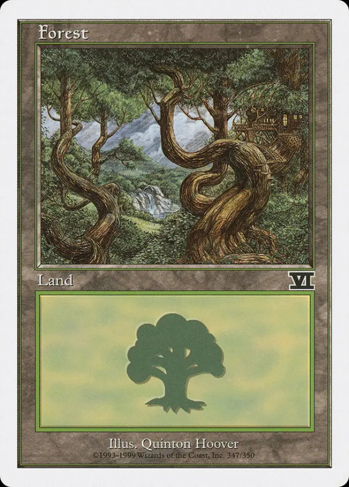 Forest (347) [Classic Sixth Edition] - MTG Single