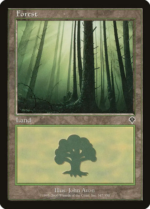 Forest (347) [Invasion] - MTG Single