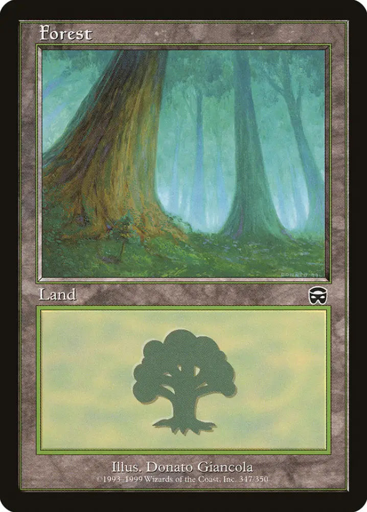 Forest (347) [Mercadian Masques] - MTG Single