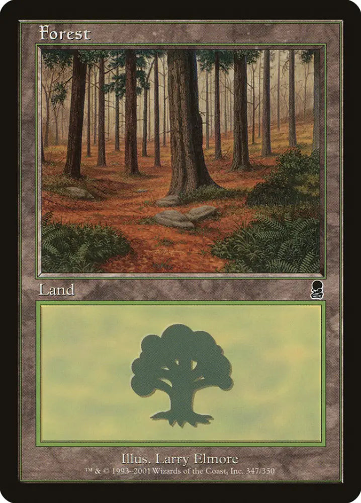 Forest (347) [Odyssey] - MTG Single