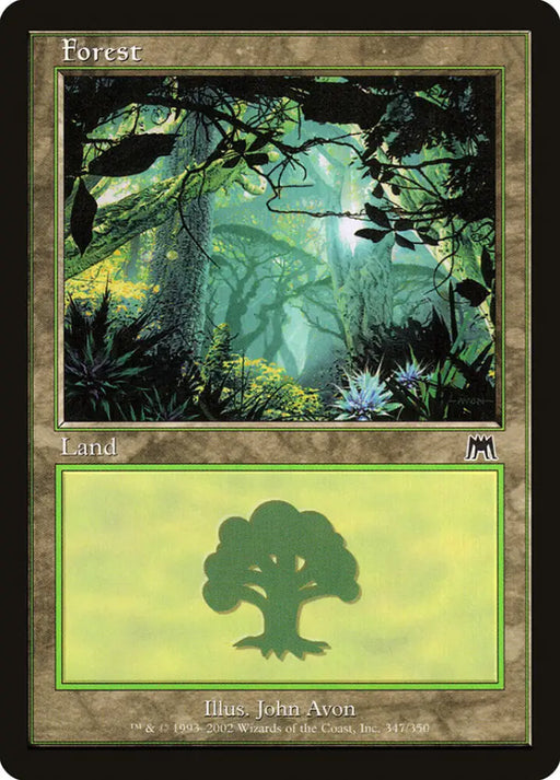 Forest (347) [Onslaught] - MTG Single