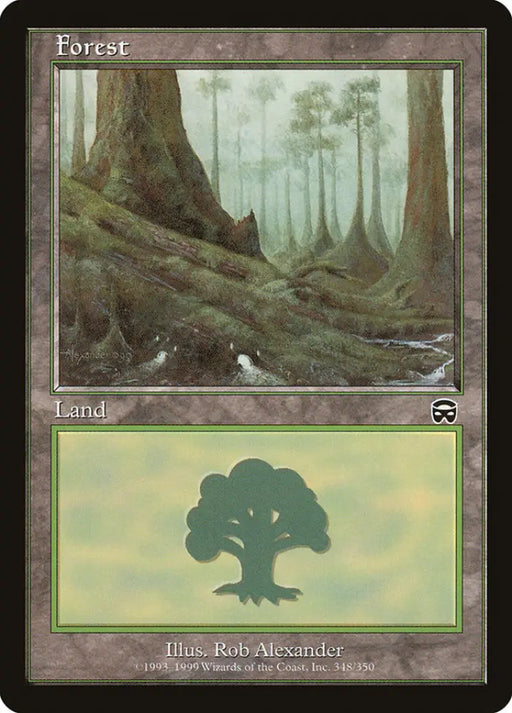 Forest (348) [Mercadian Masques] - MTG Single