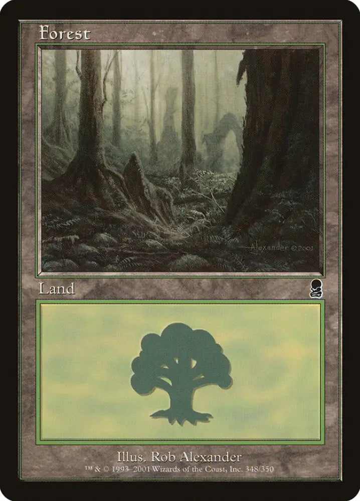 Forest (348) [Odyssey] - MTG Single