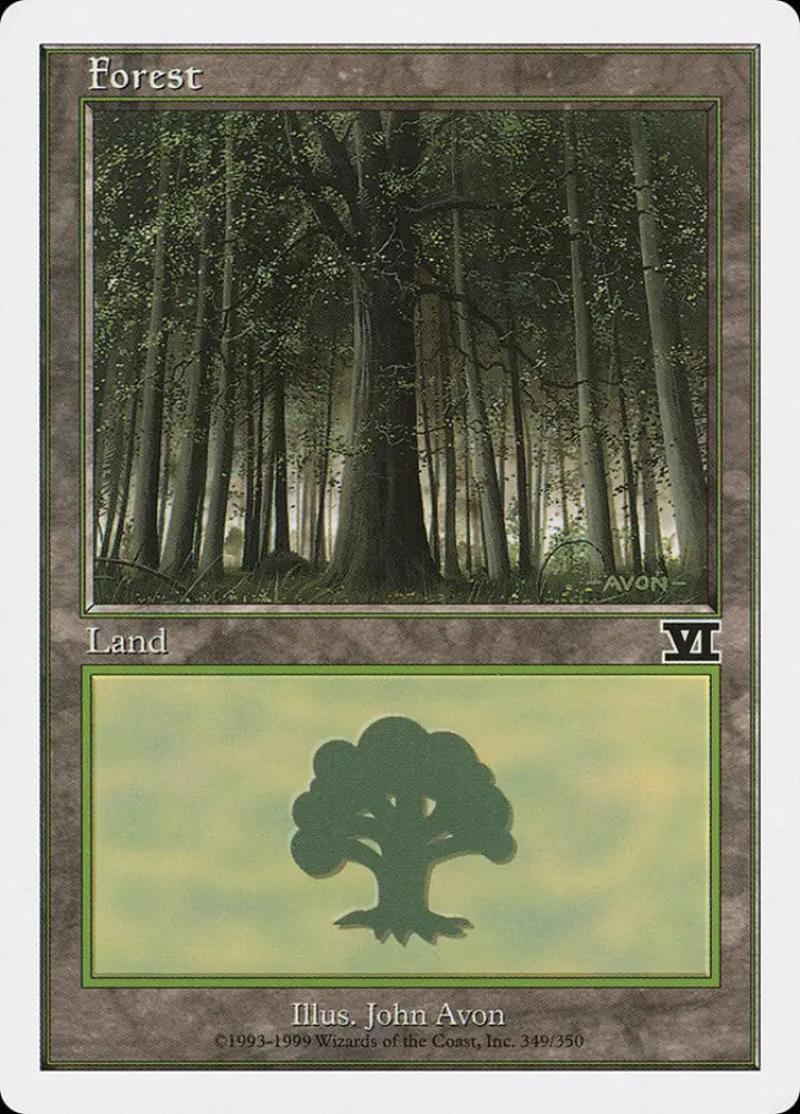 Forest (349) [Classic Sixth Edition] - MTG Single
