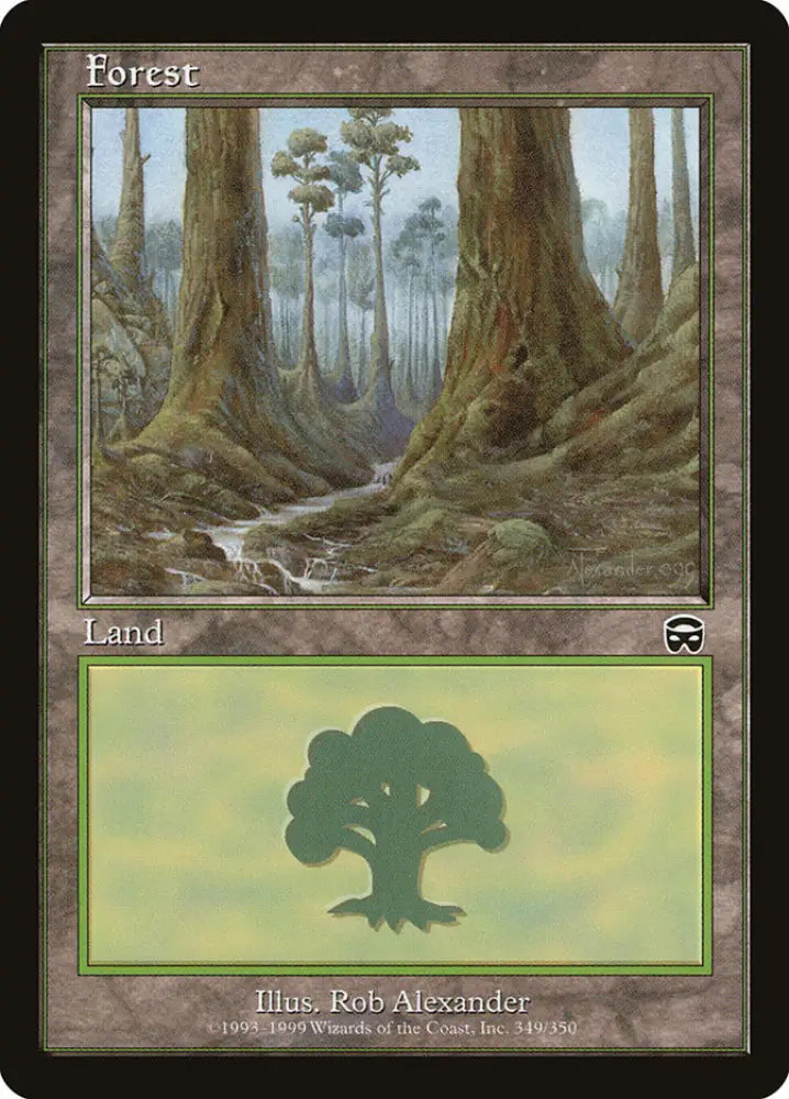 Forest (349) [Mercadian Masques] - MTG Single