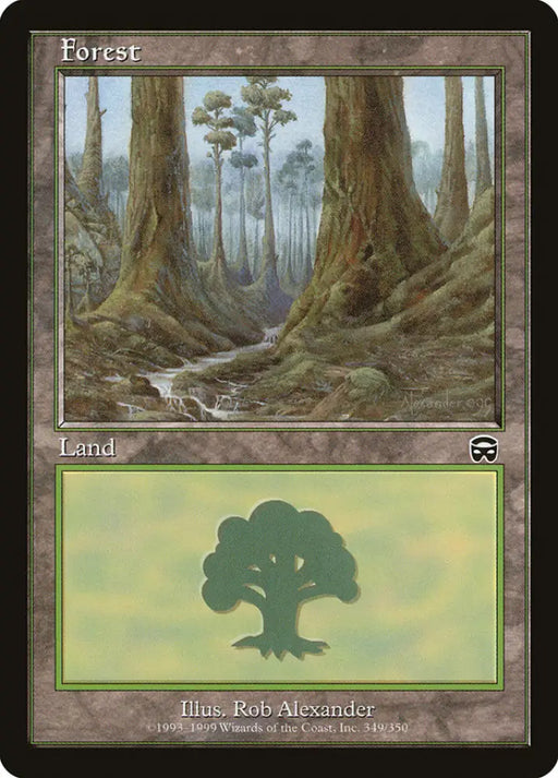 Forest (349) [Mercadian Masques] - MTG Single