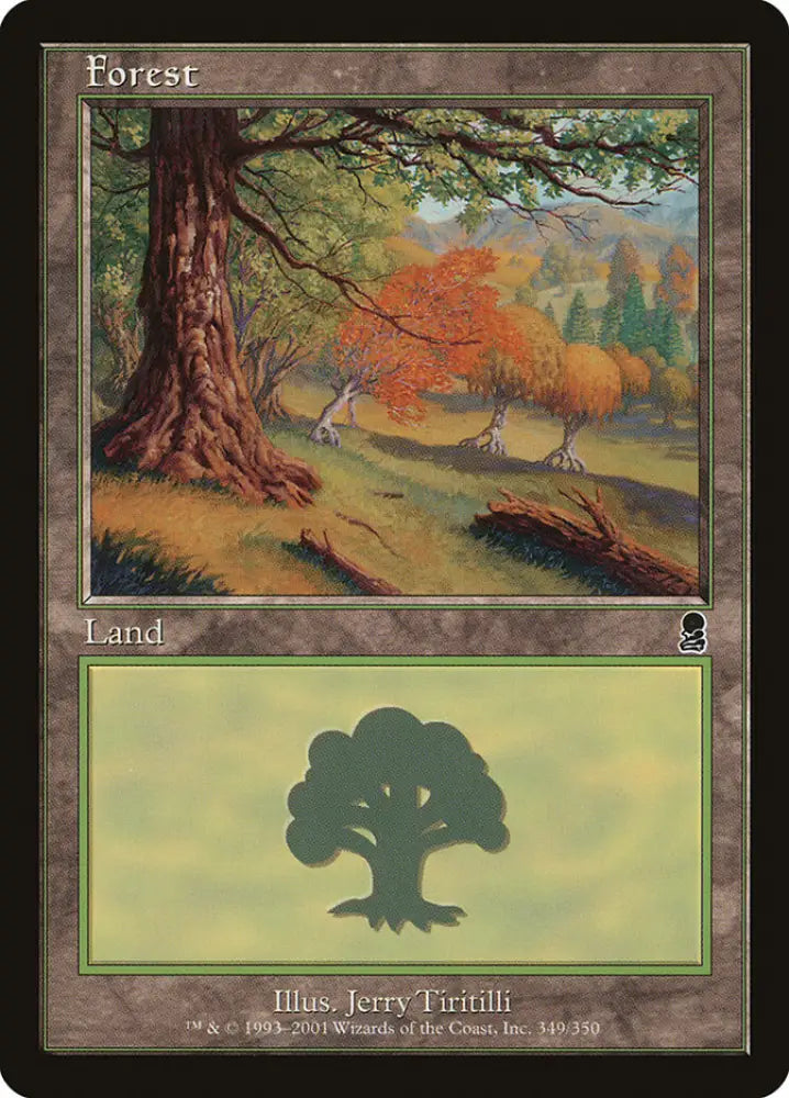 Forest (349) [Odyssey] - MTG Single