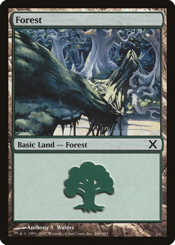 Forest (380) [Tenth Edition] - MTG Single
