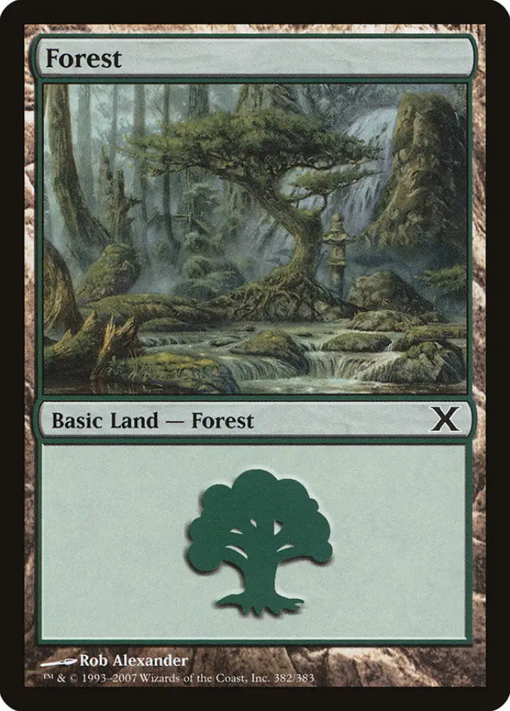 Forest (382) [Tenth Edition] - MTG Single