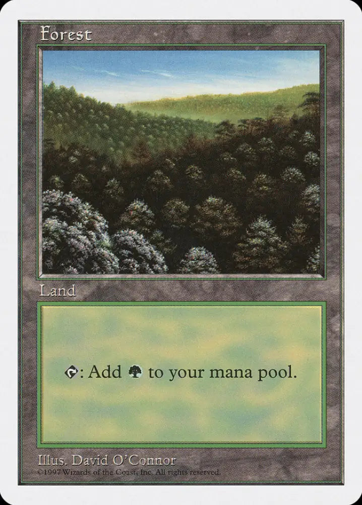 Forest (446) [Fifth Edition] - MTG Single