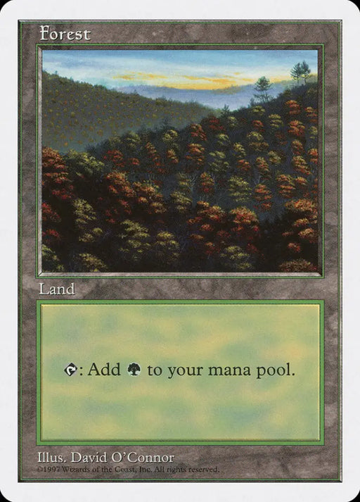 Forest (448) [Fifth Edition] - MTG Single