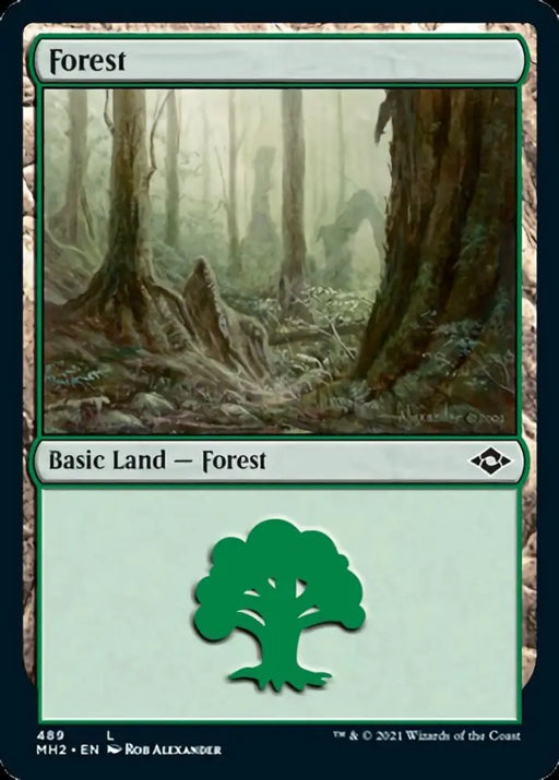 Forest (489) (Foil Etched) [Modern Horizons 2] - MTG Single