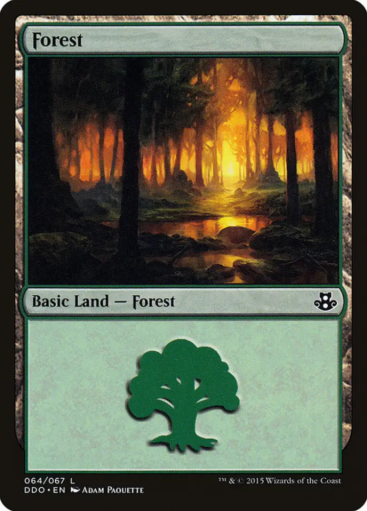 Forest (64) [Duel Decks: Elspeth vs. Kiora] - MTG Single