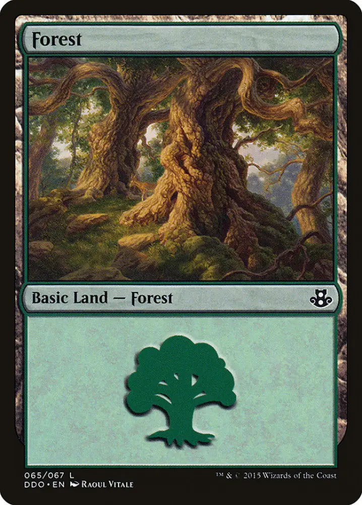 Forest (65) [Duel Decks: Elspeth vs. Kiora] - MTG Single