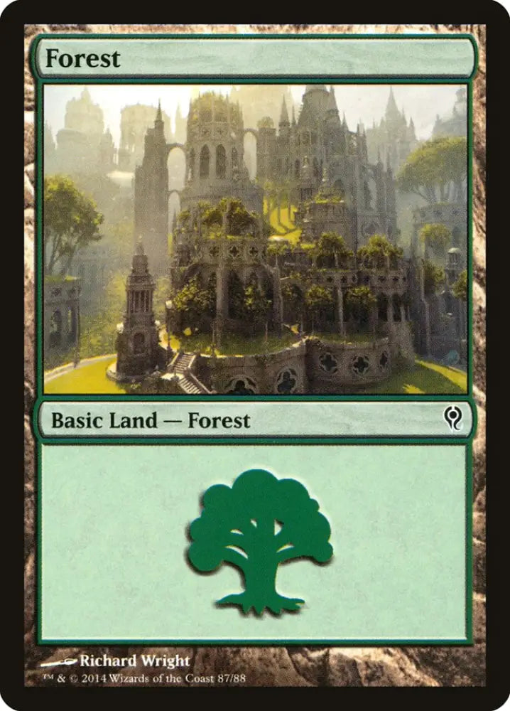 Forest (87) [Duel Decks: Jace vs. Vraska] - MTG Single