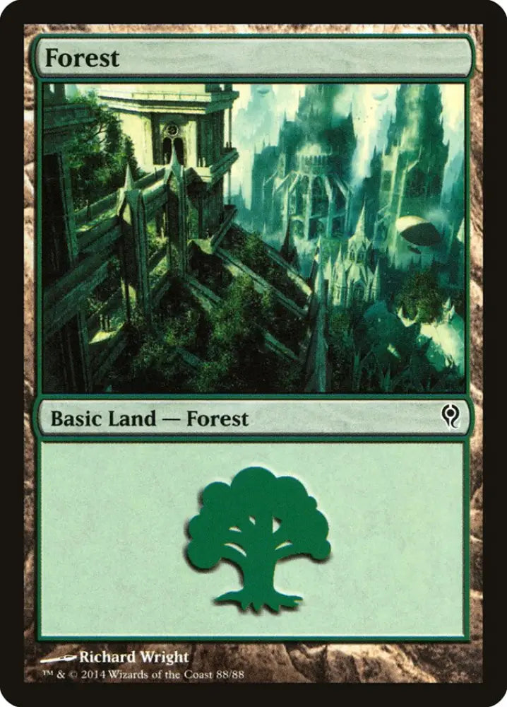 Forest (88) [Duel Decks: Jace vs. Vraska] - MTG Single