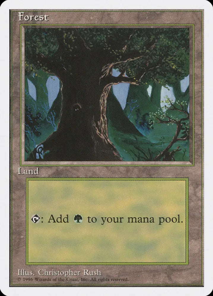 Forest (Creature in Tree Hole) [Introductory Two-Player Set] - MTG Single