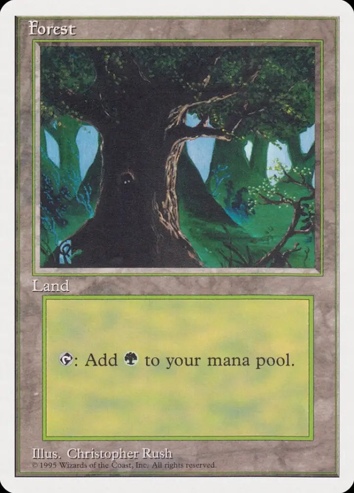 Forest (Creature in Tree Hole) [Rivals Quick Start Set] - MTG Single