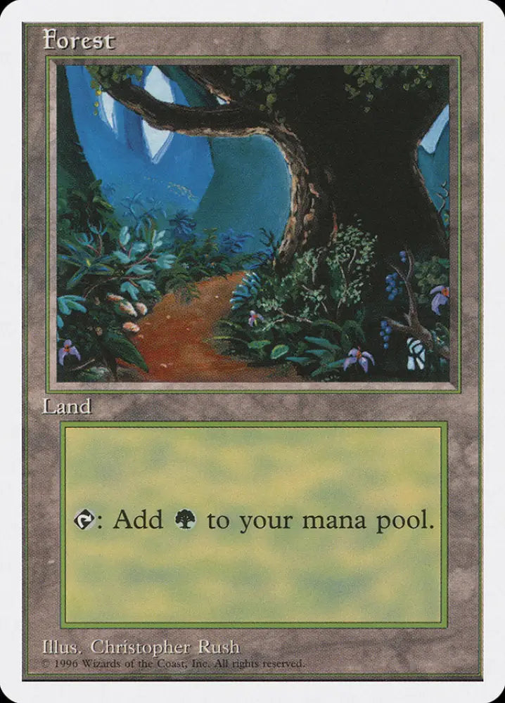 Forest (Dirt Path) [Introductory Two-Player Set] - MTG Single