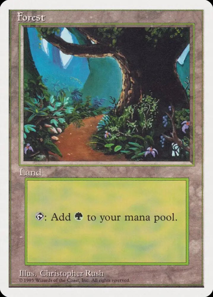Forest (Dirt Path) [Rivals Quick Start Set] - MTG Single