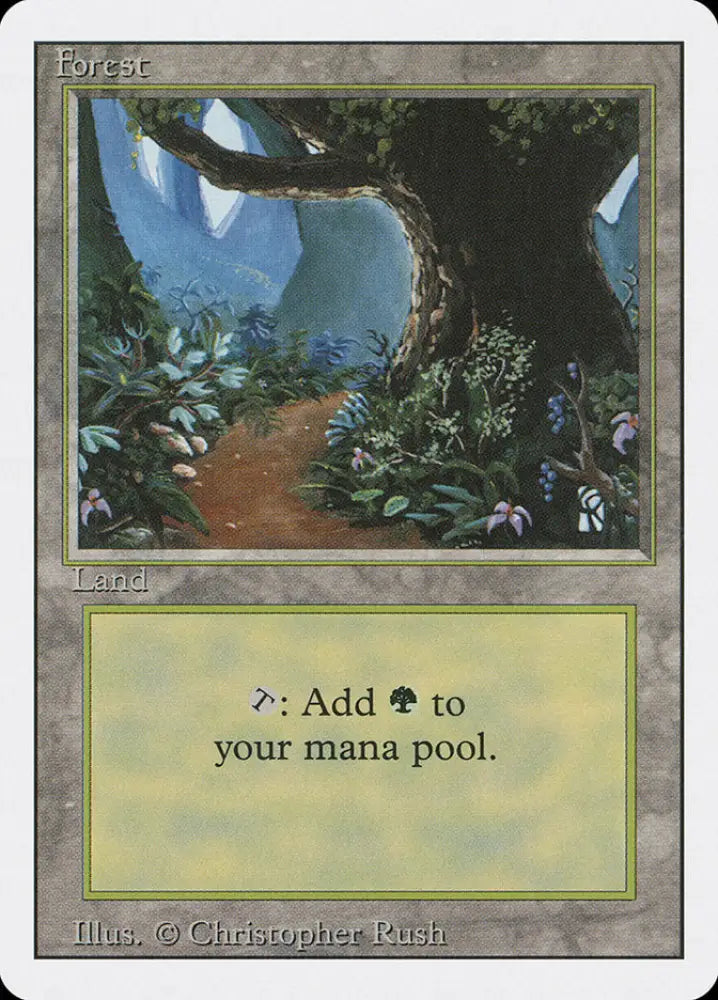 Forest (Flower Path) [Revised Edition] - MTG Single