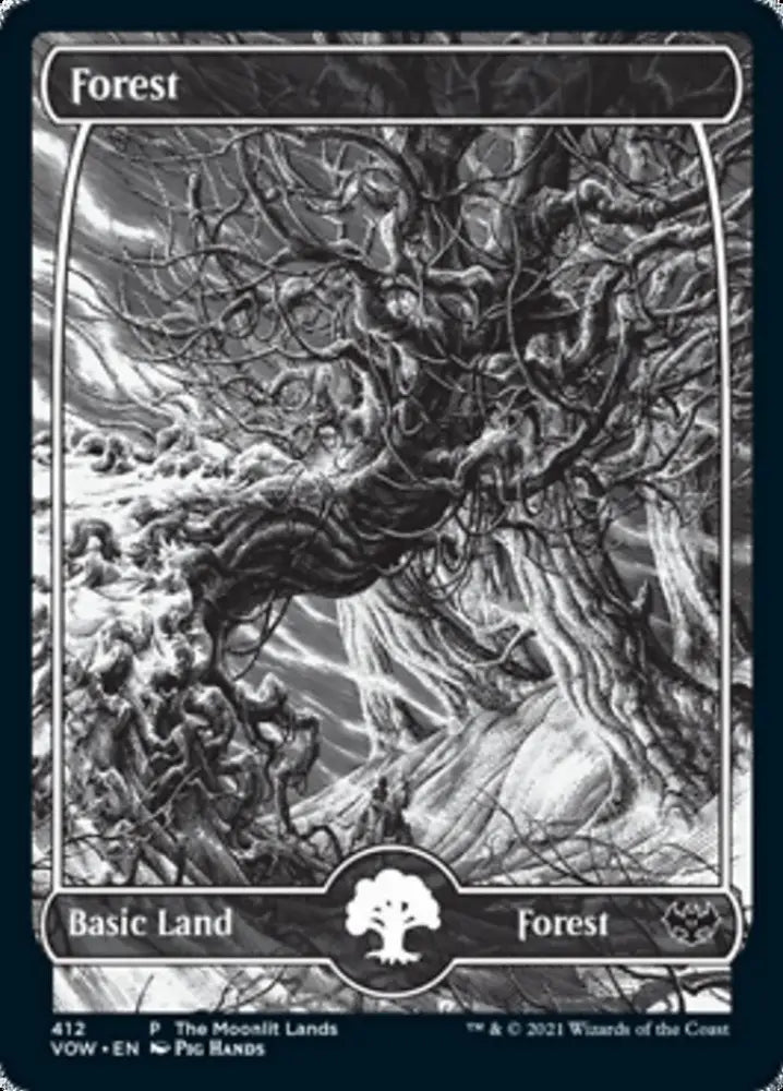 Forest (The Moonlit Lands) (Foil Etched) [Innistrad: Crimson Vow Promos] - MTG Single