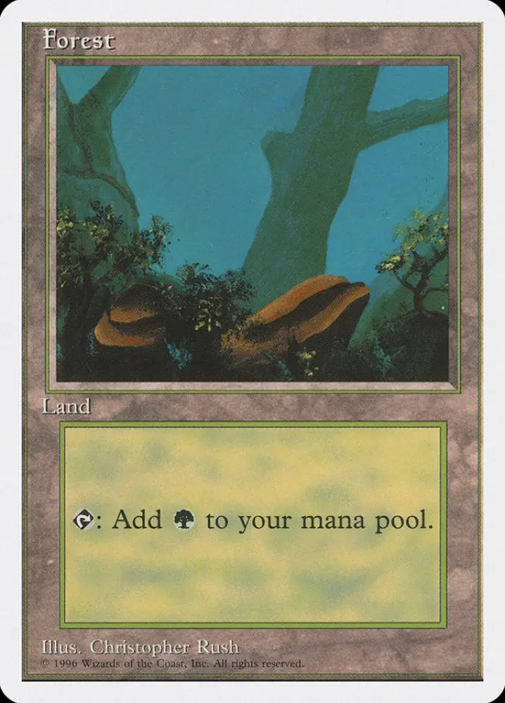 Forest (Two Boulders) [Introductory Two-Player Set] - MTG Single