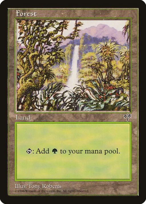 Forest (Waterfall) [Mirage] - MTG Single